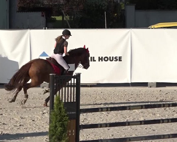 Reitturnier Horn 2018