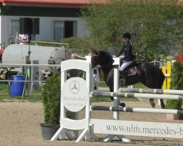 Reitturnier Langenau 2018