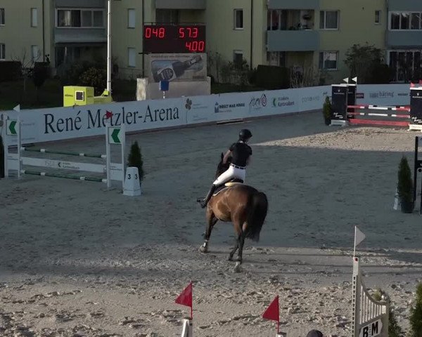 Reitturnier Horn 2018