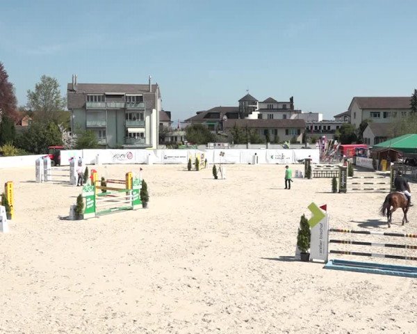 Reitturnier Horn 2018