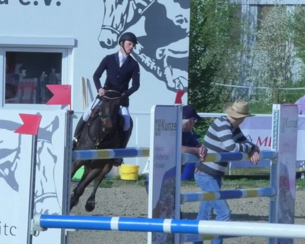 Reitturnier Langenau 2018