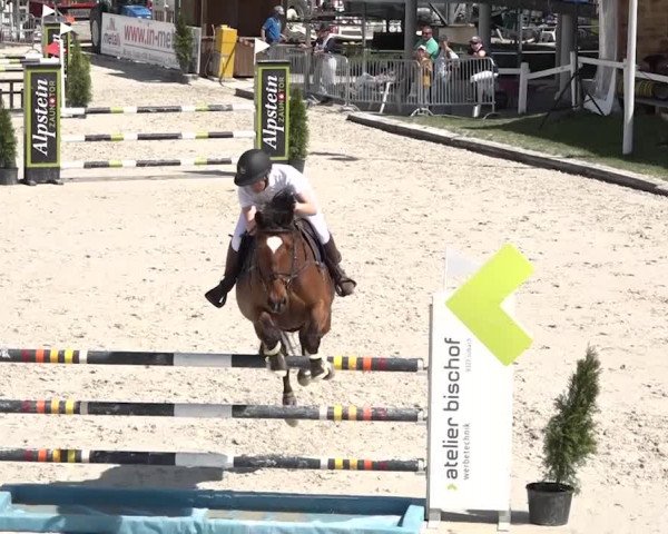 Reitturnier Horn 2018