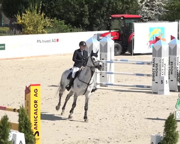 Reitturnier Horn 2018