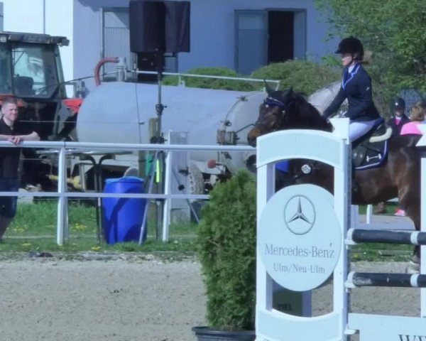 Reitturnier Langenau 2018