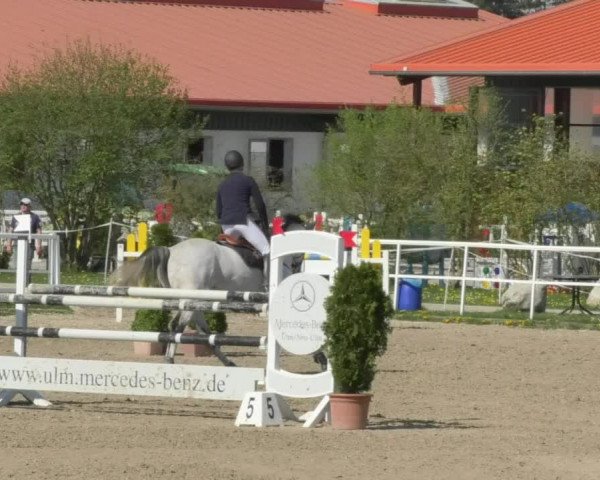 Reitturnier Langenau 2018