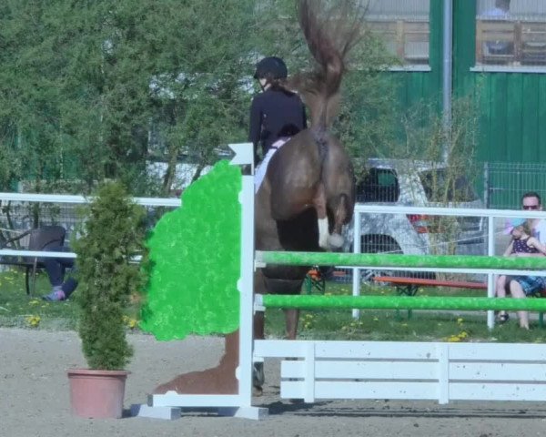 Reitturnier Langenau 2018