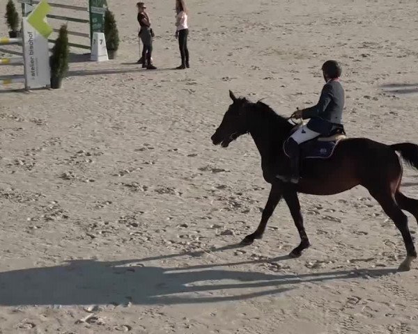 Reitturnier Horn 2018