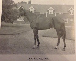 stallion Plassy xx (Thoroughbred, 1932, from Bosworth xx)
