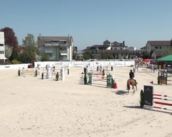 Reitturnier Horn 2018