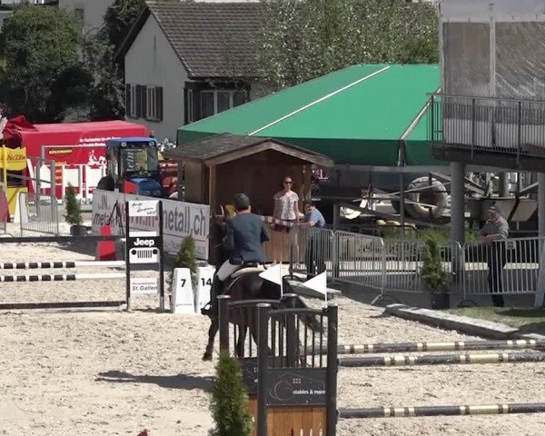 Reitturnier Horn 2018