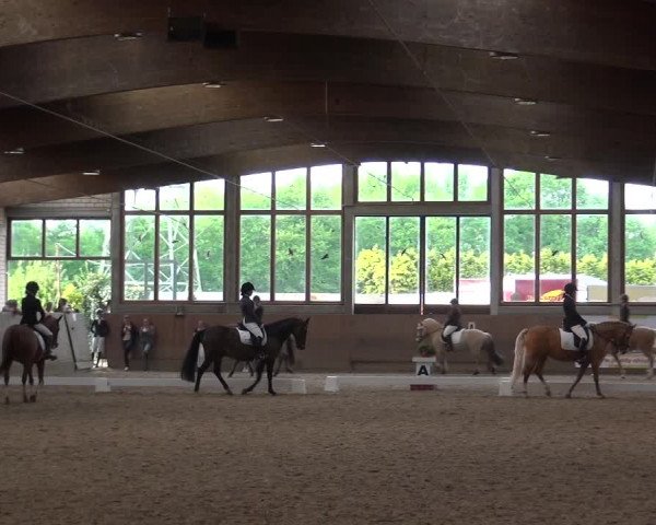 Reitturnier Leverkusen-Rheindorf 2018