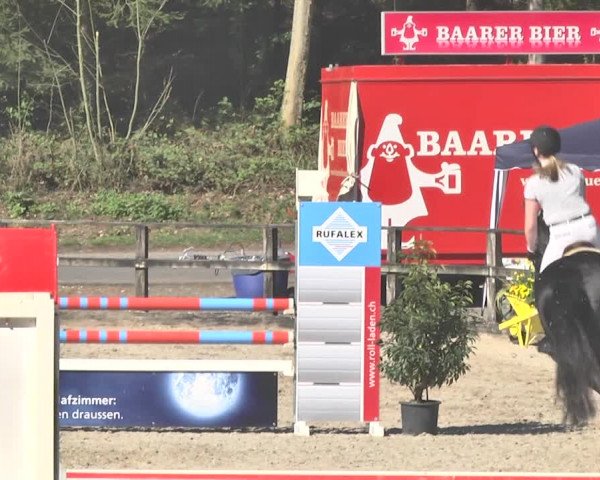 Reitturnier Sins-Attenschwil 2018
