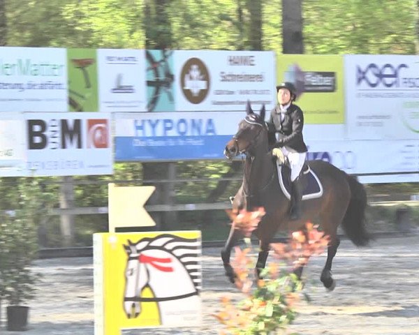 Reitturnier Sins-Attenschwil 2018
