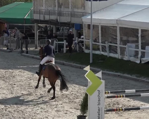 Reitturnier Horn 2018
