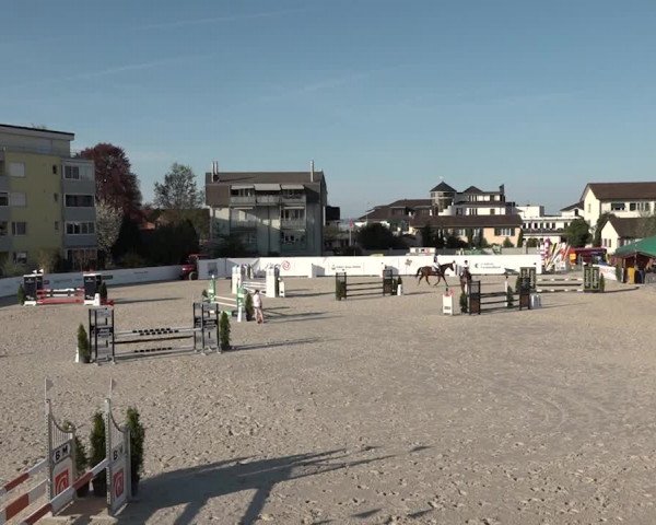 Reitturnier Horn 2018