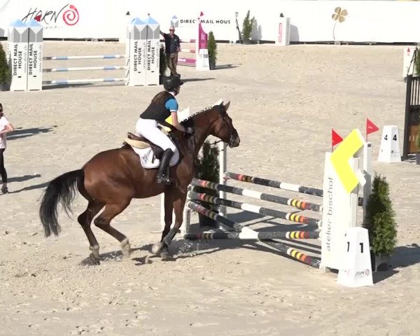 Reitturnier Horn 2018