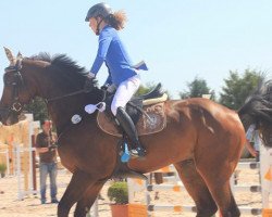 jumper Quinero (Westphalian, 2007, from Quality 9)