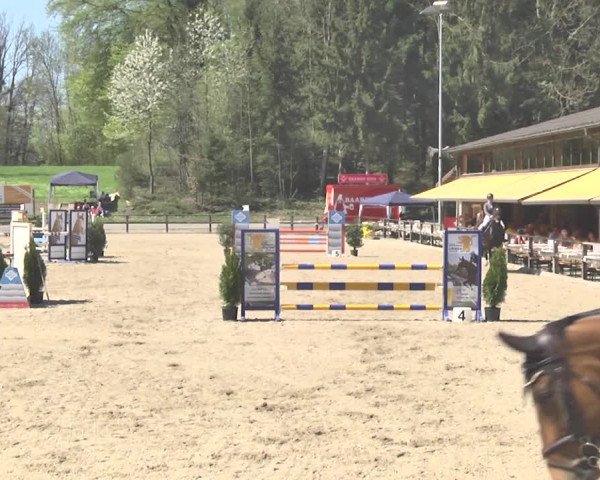 Reitturnier Sins-Attenschwil 2018