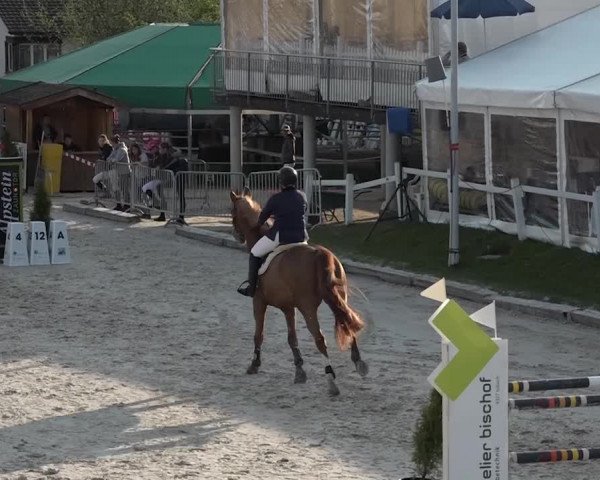 Reitturnier Horn 2018