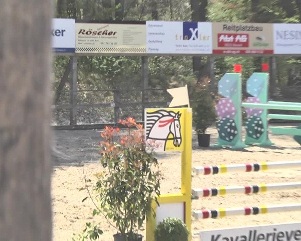 Reitturnier Sins-Attenschwil 2018
