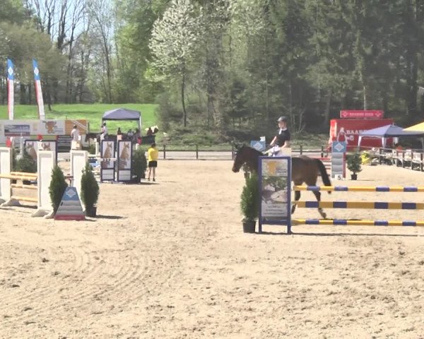 Reitturnier Sins-Attenschwil 2018