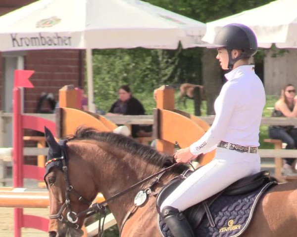 Reitturnier Nienberge 2018
