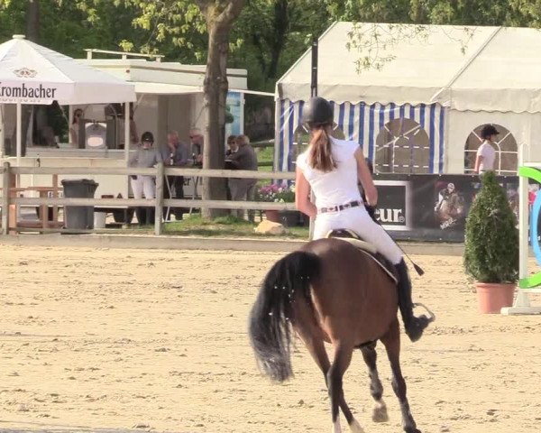 Reitturnier Nienberge 2018