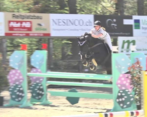 Reitturnier Sins-Attenschwil 2018