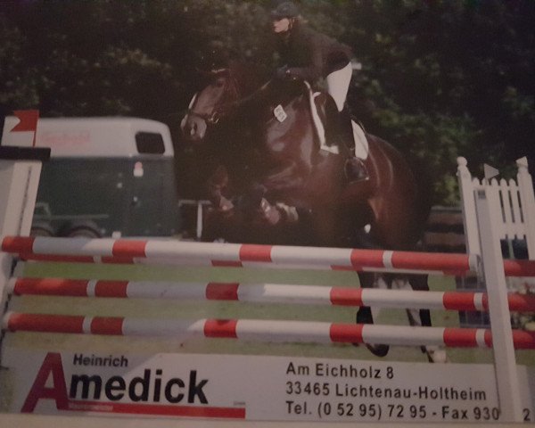 broodmare Sharlice (Hanoverian, 2004, from Stakkato)