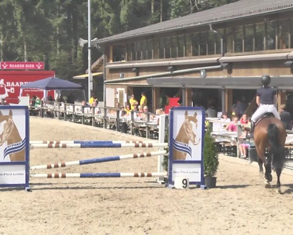 Reitturnier Sins-Attenschwil 2018