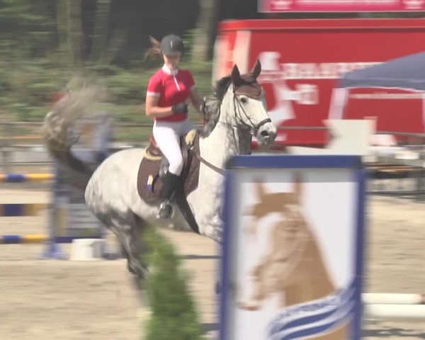 Reitturnier Sins-Attenschwil 2018