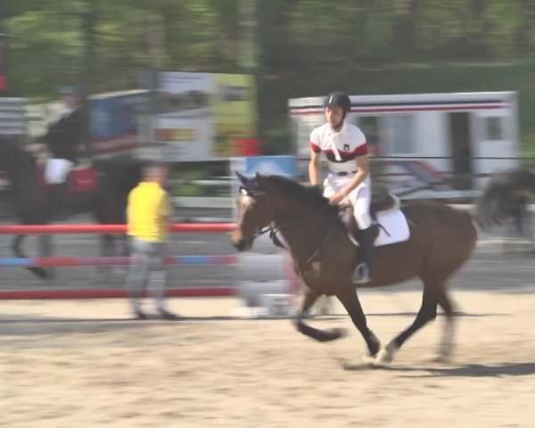 Reitturnier Sins-Attenschwil 2018