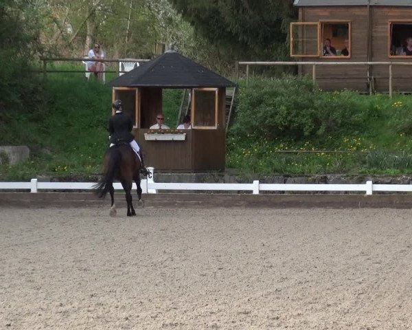 Reitturnier Mettmann - Reitanlage Löckenhoff 2018