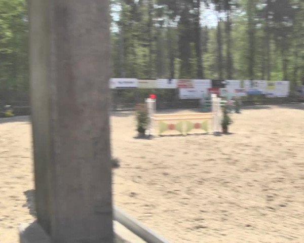 Reitturnier Sins-Attenschwil 2018
