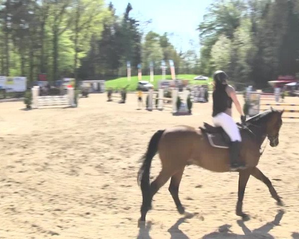 Reitturnier Sins-Attenschwil 2018