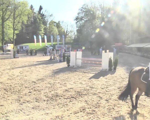 Reitturnier Sins-Attenschwil 2018