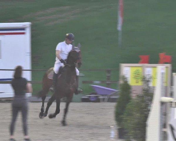 Reitturnier Sins-Attenschwil 2018