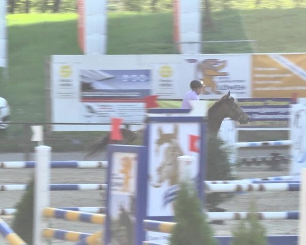 Reitturnier Sins-Attenschwil 2018