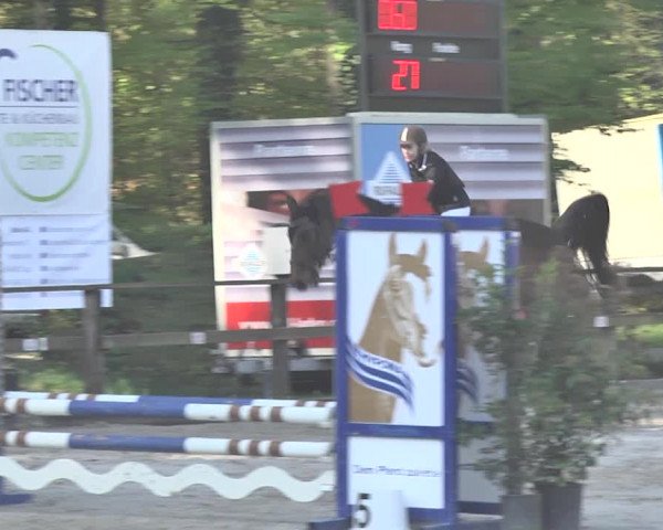 Reitturnier Sins-Attenschwil 2018