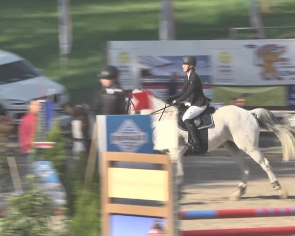 Reitturnier Sins-Attenschwil 2018