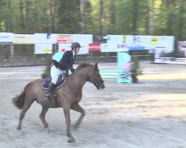 Reitturnier Sins-Attenschwil 2018