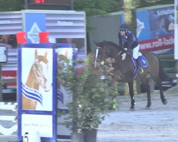Reitturnier Sins-Attenschwil 2018