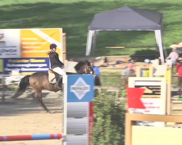 Reitturnier Sins-Attenschwil 2018