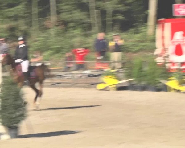Reitturnier Sins-Attenschwil 2018