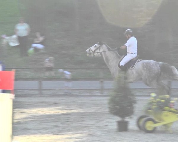 Reitturnier Sins-Attenschwil 2018