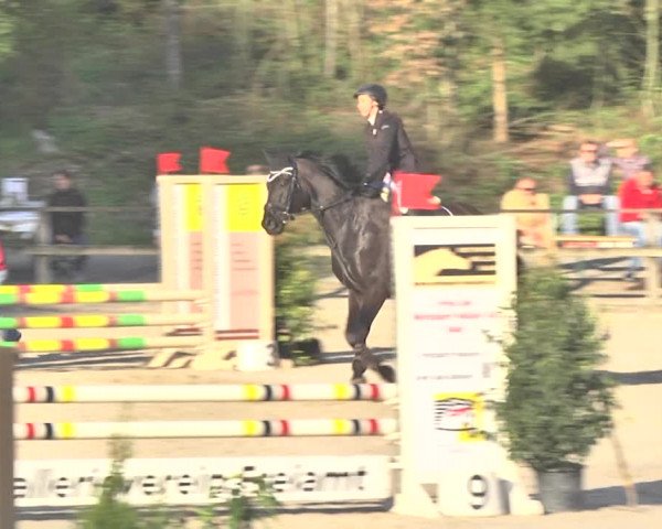 Reitturnier Sins-Attenschwil 2018