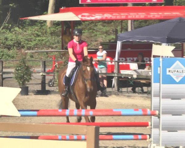 Reitturnier Sins-Attenschwil 2018