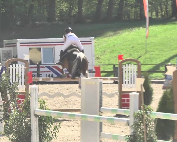 Reitturnier Sins-Attenschwil 2018
