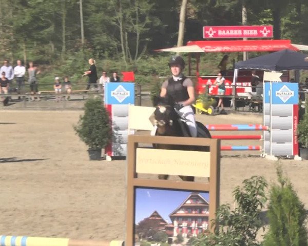 Reitturnier Sins-Attenschwil 2018