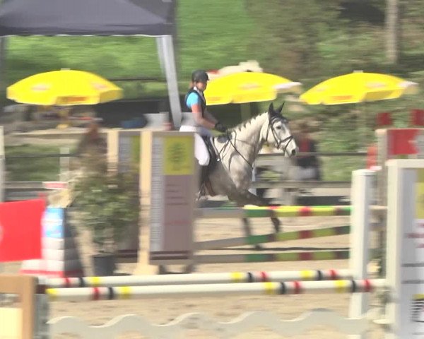 Reitturnier Sins-Attenschwil 2018